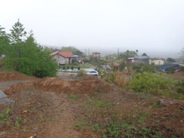 B000285202501300512871.jpg