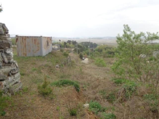 B000285202501300512874.jpg