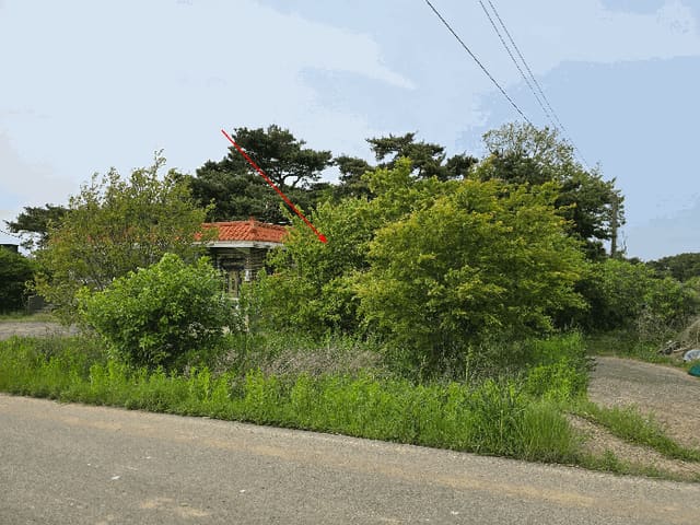 B000285202501300513014.jpg