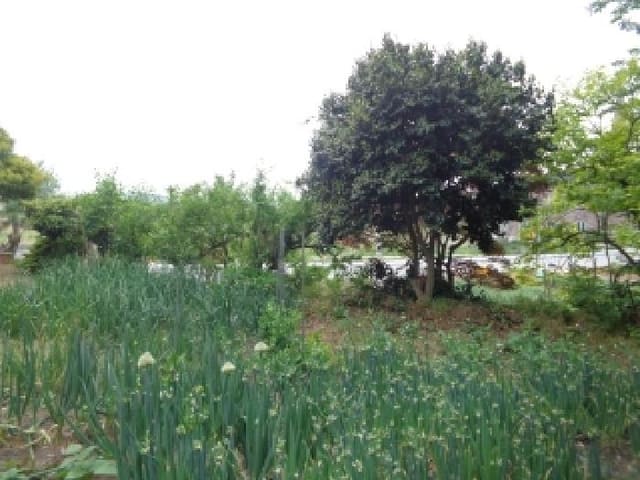 B000285202501300513021.jpg