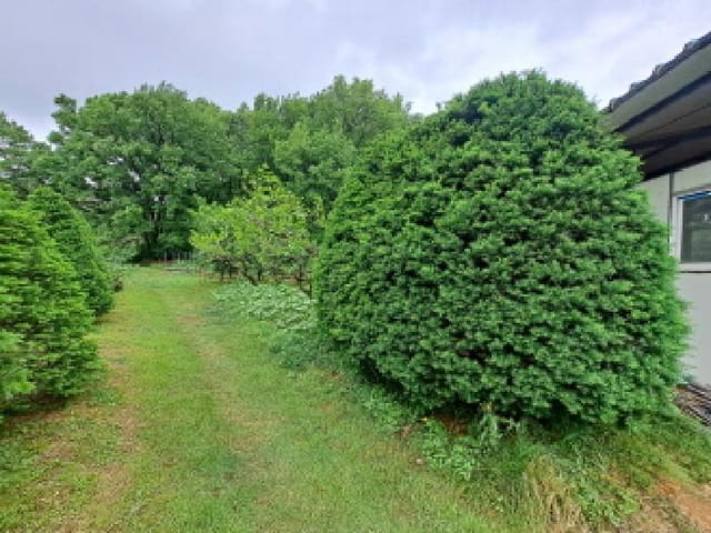 B000285202501300513294.jpg