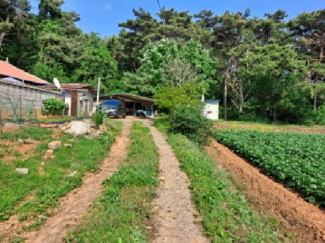 B000285202501300513304.jpg