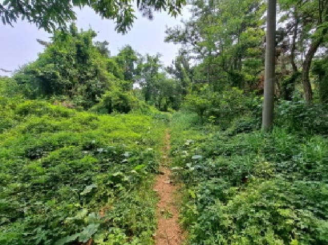 B000285202501300513504.jpg
