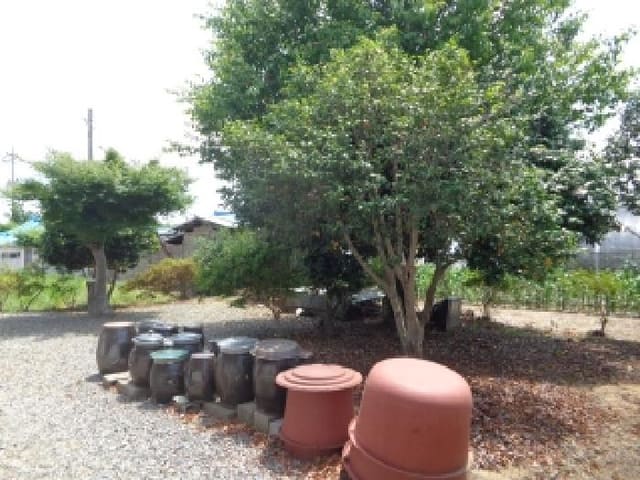 B000285202501300513923.jpg
