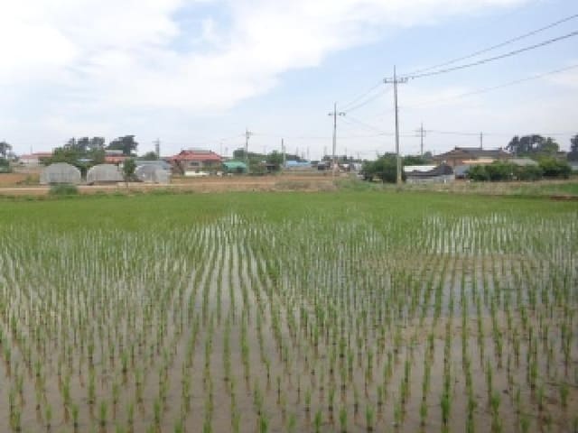 B000285202501300513933.jpg