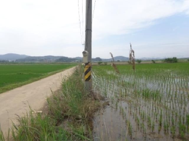 B000285202501300513931.jpg