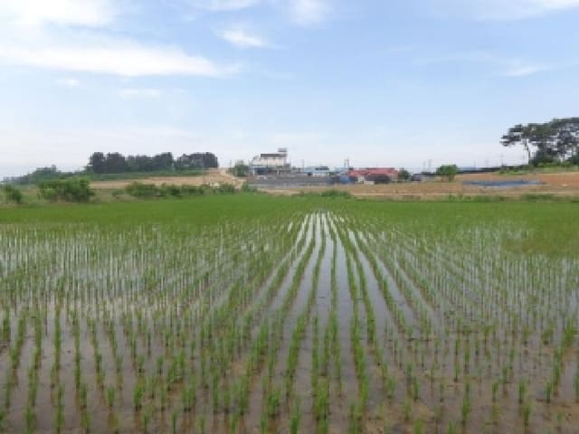 B000285202501300513934.jpg