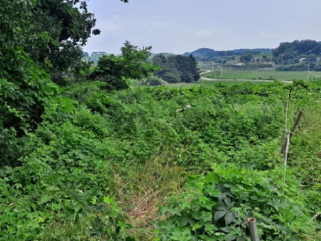 B000285202501300514082.jpg