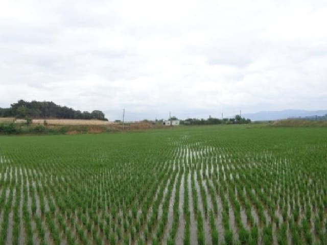 B000285202501300514104.jpg