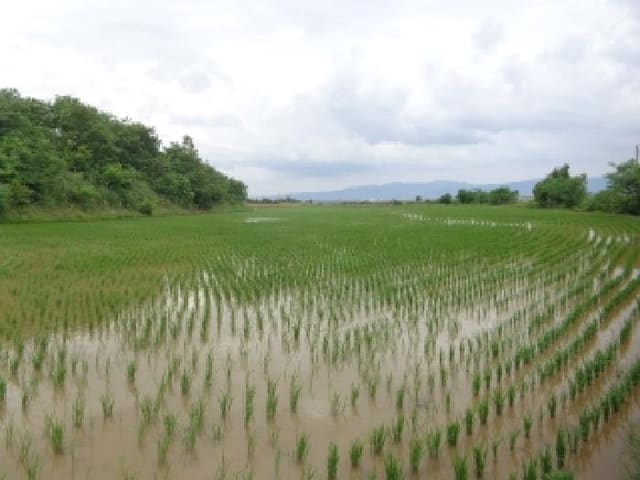 B000285202501300514101.jpg