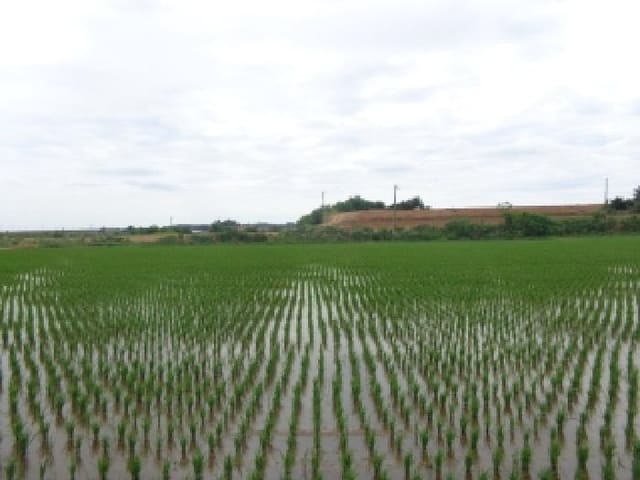 B000285202501300514103.jpg