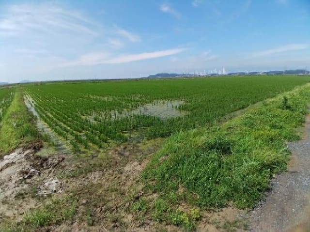 B000285202501300514273.jpg