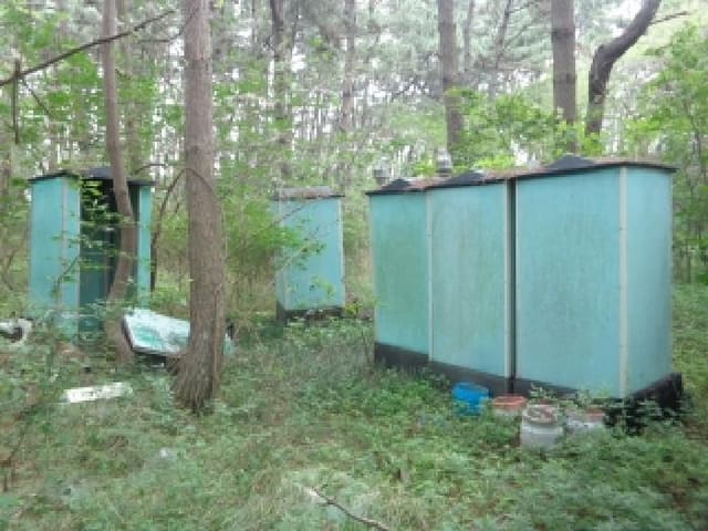 B000285202501300514302.jpg
