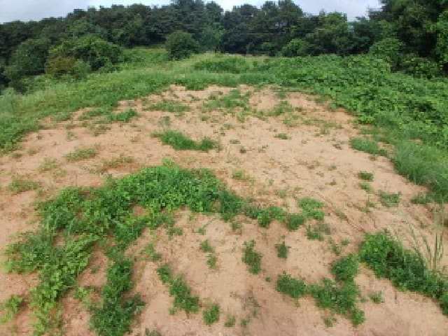 B000285202501300514344.jpg