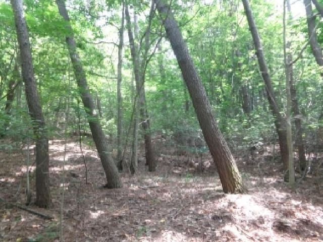 B000285202501300514422.jpg