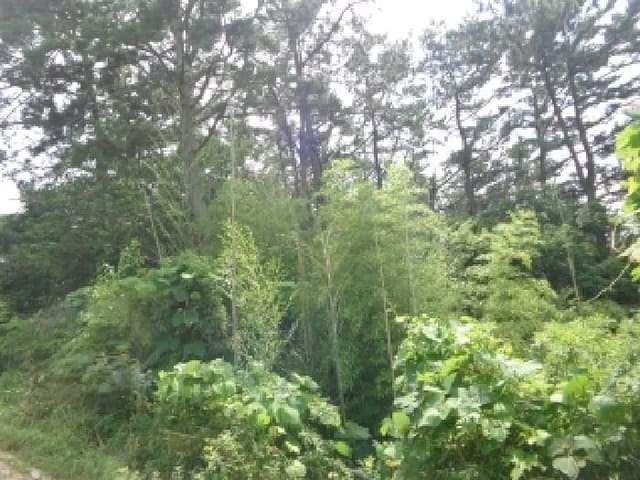 B000285202501300514423.jpg