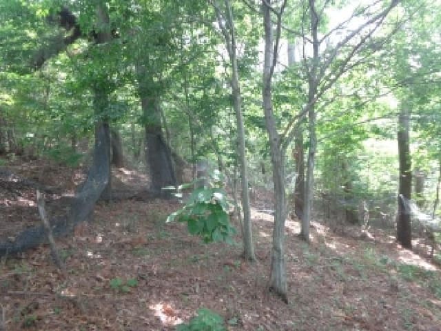 B000285202501300514424.jpg