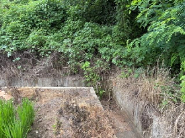 B000285202501300514633.jpg
