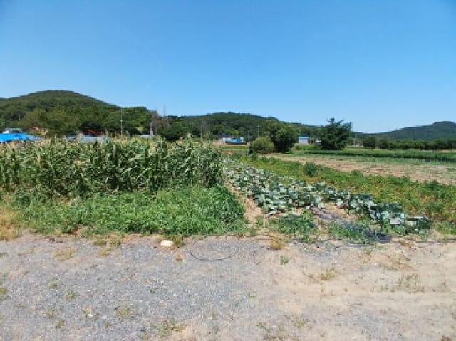 B000285202501300514722.jpg