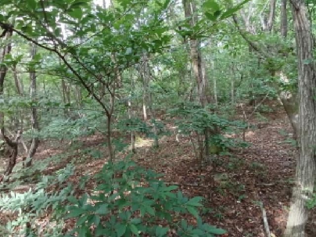 B000285202501300514803.jpg