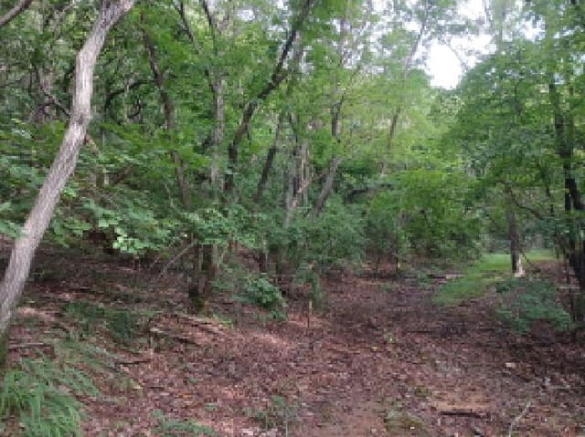 B000285202501300514802.jpg