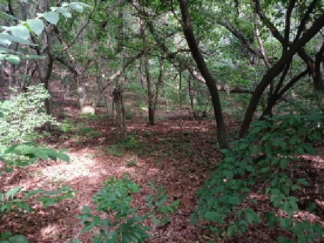 B000285202501300514801.jpg