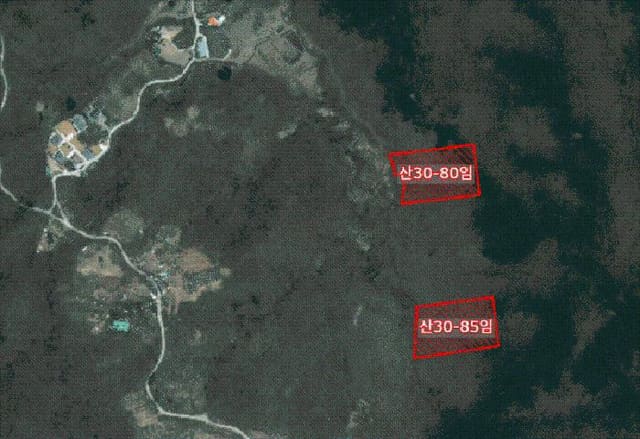 B000285202501300514804.jpg