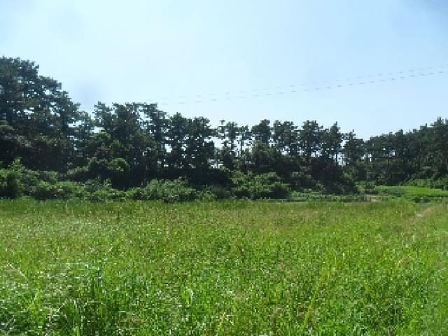 B000285202501300514881.jpg