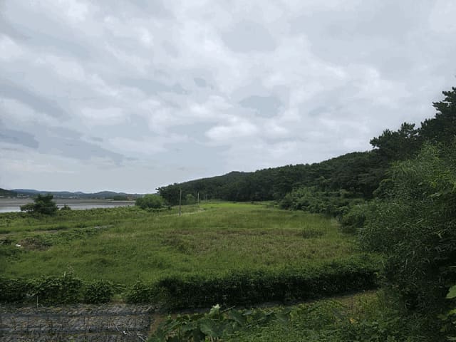 B000285202501300514883.jpg
