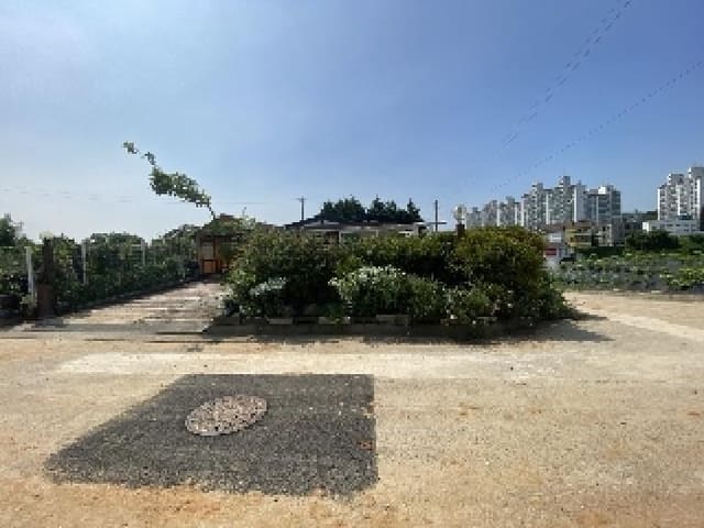 B000285202501300514964.jpg