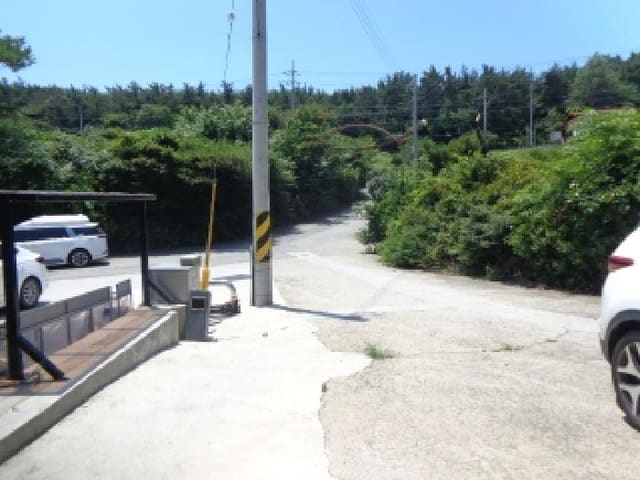B000285202501300514973.jpg