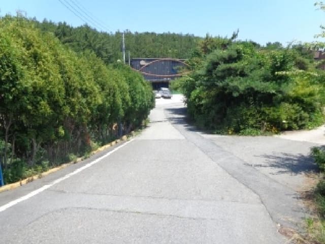 B000285202501300514971.jpg