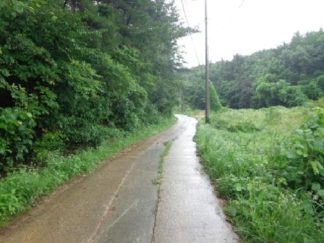 B000285202501300515011.jpg