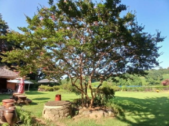 B000285202501300515051.jpg