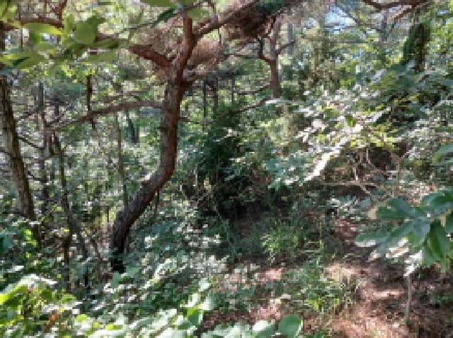 B000285202501300515211.jpg