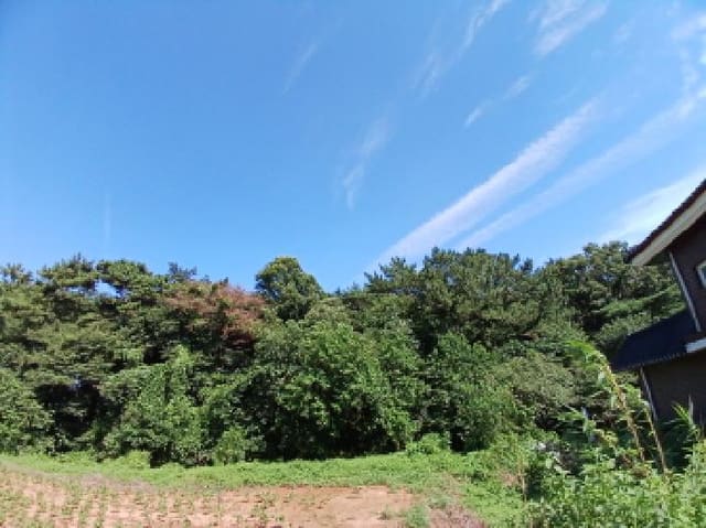 B000285202501300515353.jpg