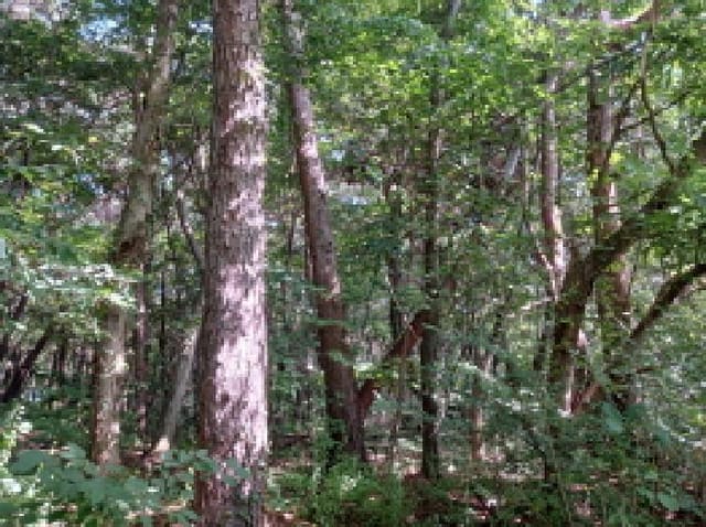 B000285202501300515352.jpg