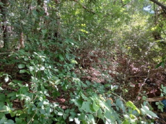 B000285202501300515351.jpg