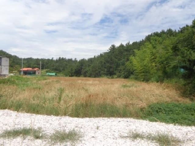 B000285202501300515591.jpg
