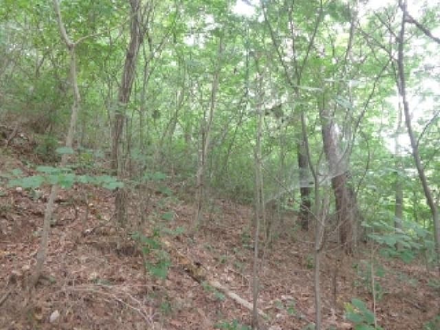 B000285202501300515593.jpg