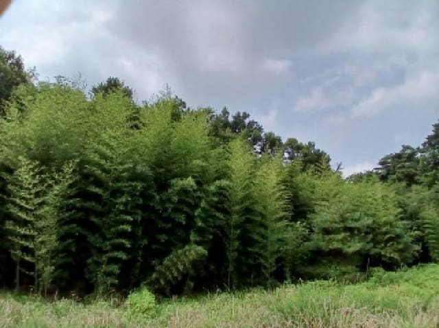 B000285202501300515764.jpg