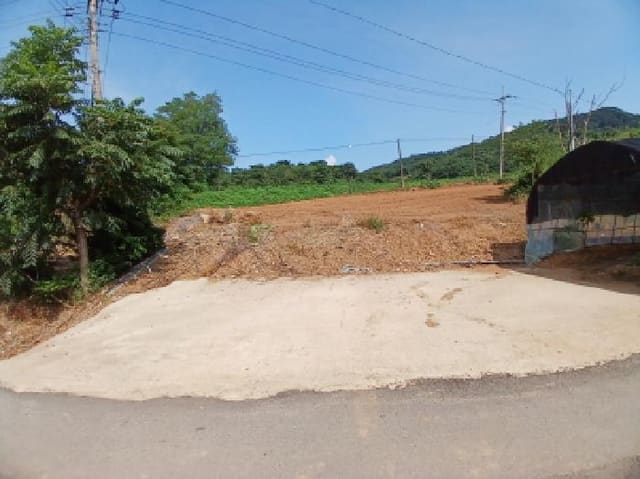 B000285202501300515794.jpg