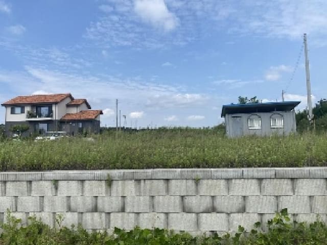 B000285202501300515901.jpg
