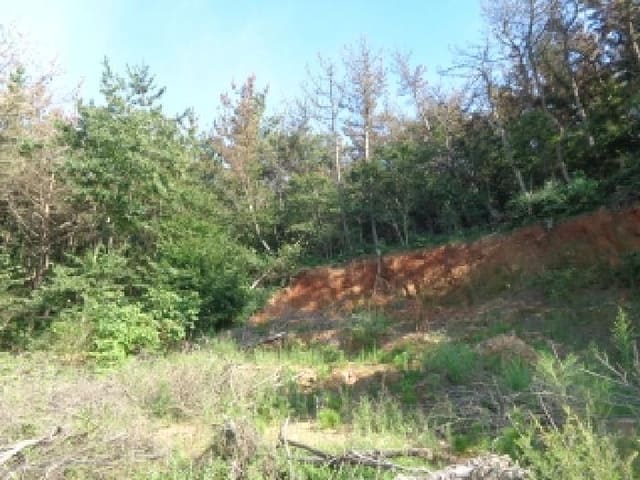 B000285202501300516021.jpg