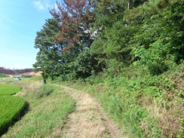 B000285202501300516023.jpg