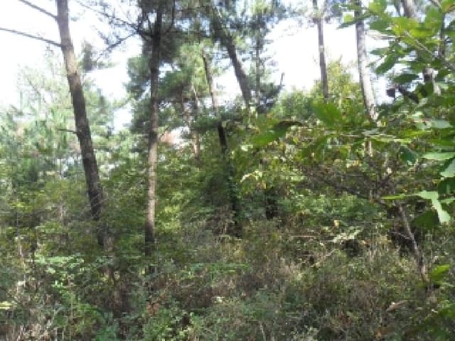 B000285202501300516473.jpg
