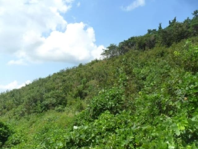 B000285202501300516542.jpg