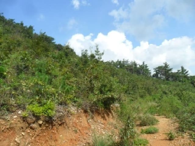 B000285202501300516543.jpg