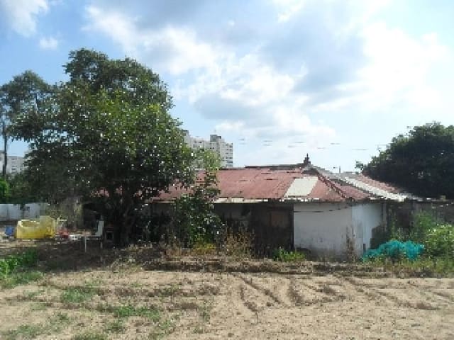 B000285202501300516572.jpg