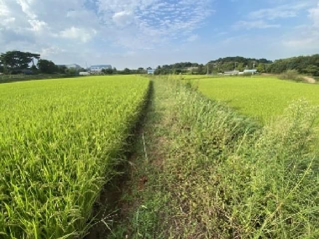 B000285202501300516593.jpg